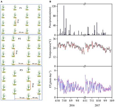 Different Responses in <mark class="highlighted">Root Water Uptake</mark> of Summer Maize to Planting Density and Nitrogen Fertilization